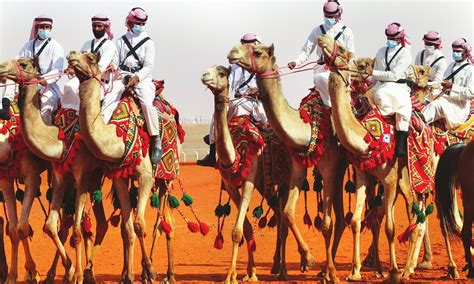 saudi arabia camel festival 2022